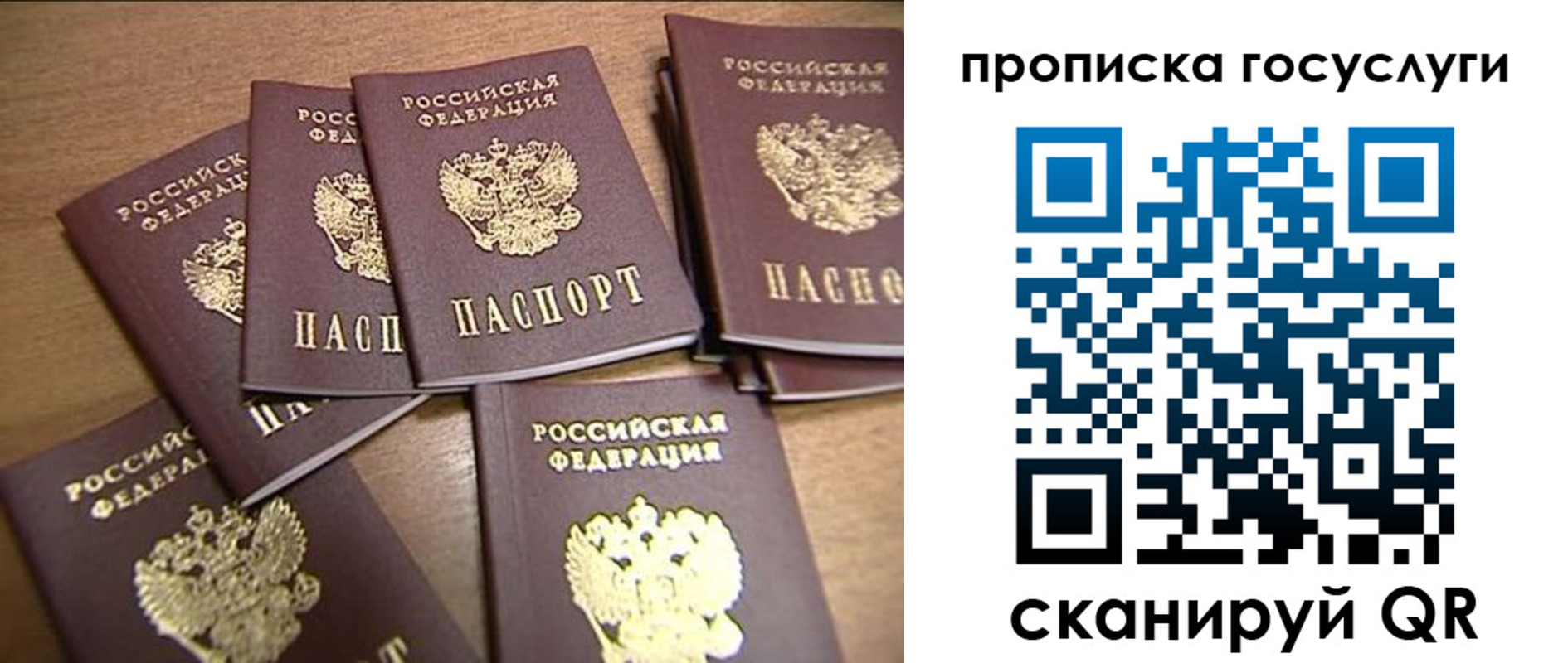 прописка для работы в Благодарном